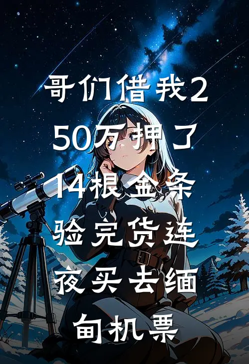 哥们借我250万押了14根金条，验完货连夜买去缅甸机票