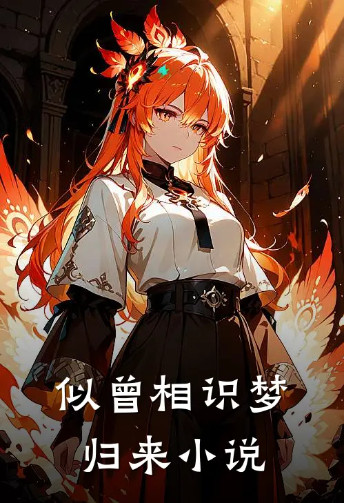似曾相识梦归来小说