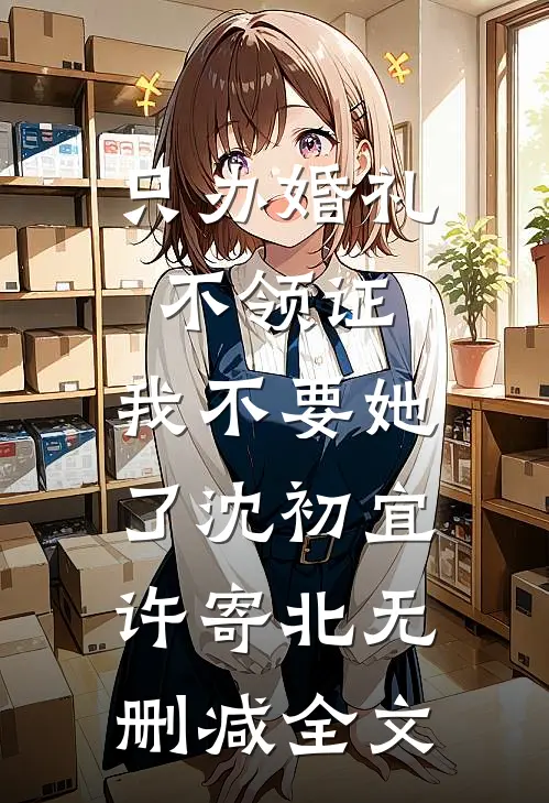 只办婚礼不领证，我不要她了沈初宜许寄北无删减全文