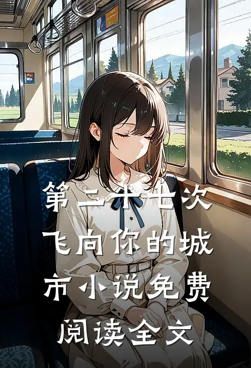 第二十七次飞向你的城市小说免费阅读全文
