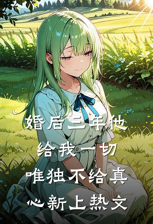 婚后三年他给我一切，唯独不给真心新上热文