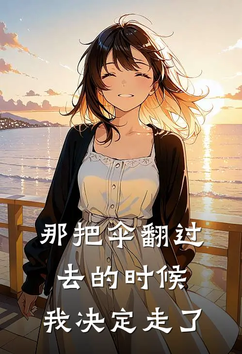 那把伞翻过去的时候，我决定走了