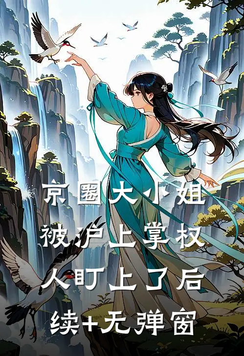京圈大小姐，被沪上掌权人盯上了后续+无弹窗