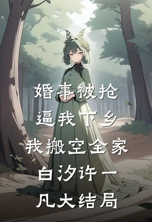 婚事被抢逼我下乡，我搬空全家白汐许一凡大结局