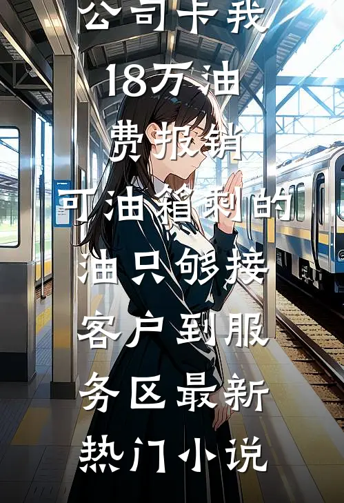 公司卡我18万油费报销，可油箱剩的油只够接客户到服务区最新热门小说