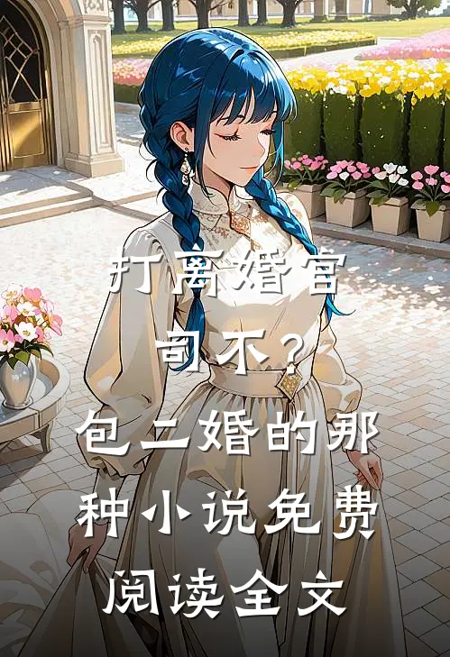 打离婚官司不？包二婚的那种小说免费阅读全文