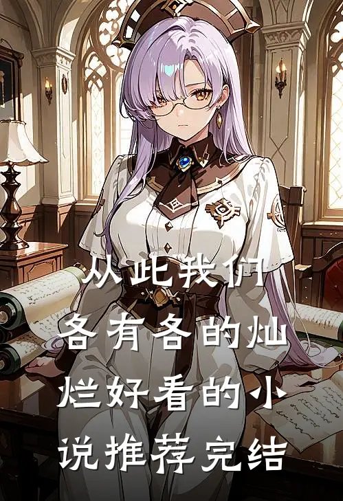 从此我们，各有各的灿烂好看的小说推荐完结