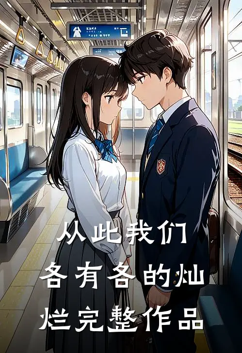 从此我们，各有各的灿烂完整作品
