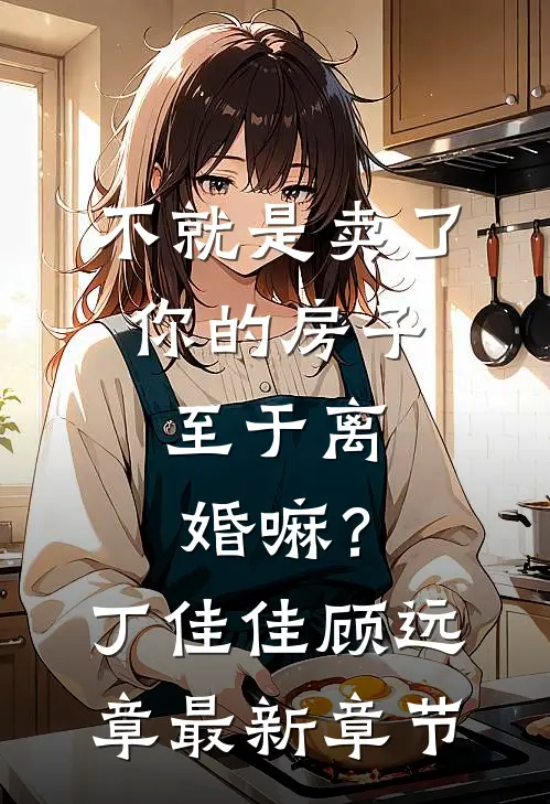 不就是卖了你的房子，至于离婚嘛？丁佳佳顾远章最新章节