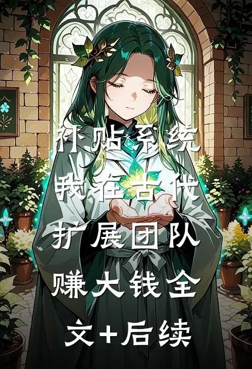 补贴系统：我在古代扩展团队赚大钱全文+后续