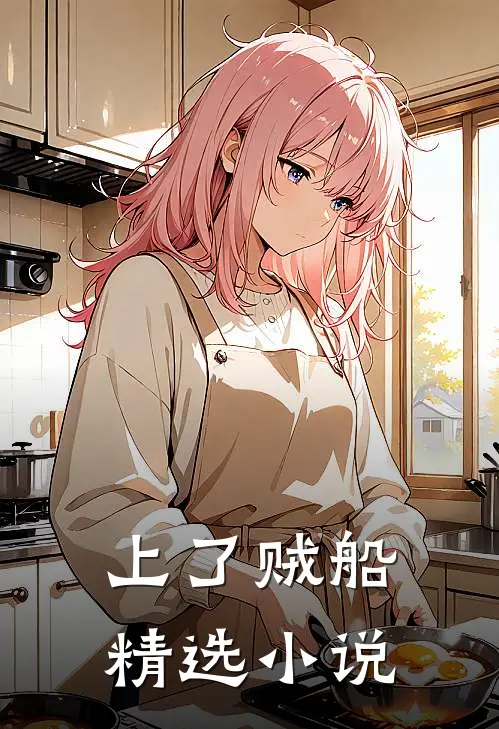 上了贼船精选小说