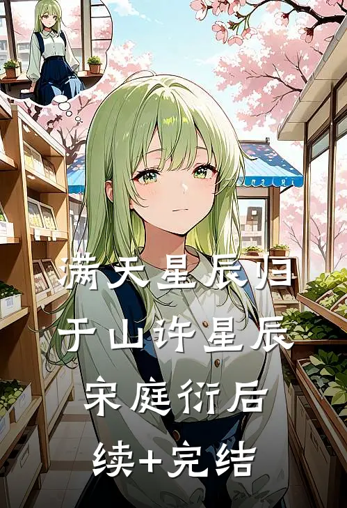 满天星辰归于山许星辰宋庭衍后续+完结