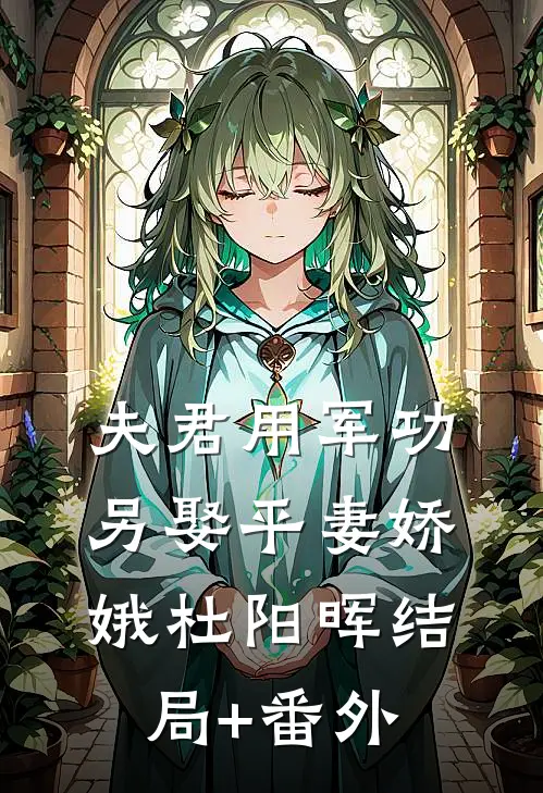夫君用军功另娶平妻娇娥杜阳晖结局+番外