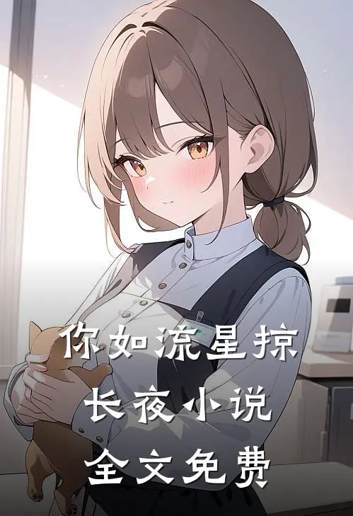 你如流星掠长夜小说全文免费
