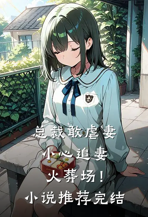 总裁敢虐妻，小心追妻火葬场！小说推荐完结
