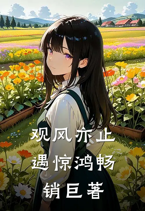观风亦止遇惊鸿畅销巨著