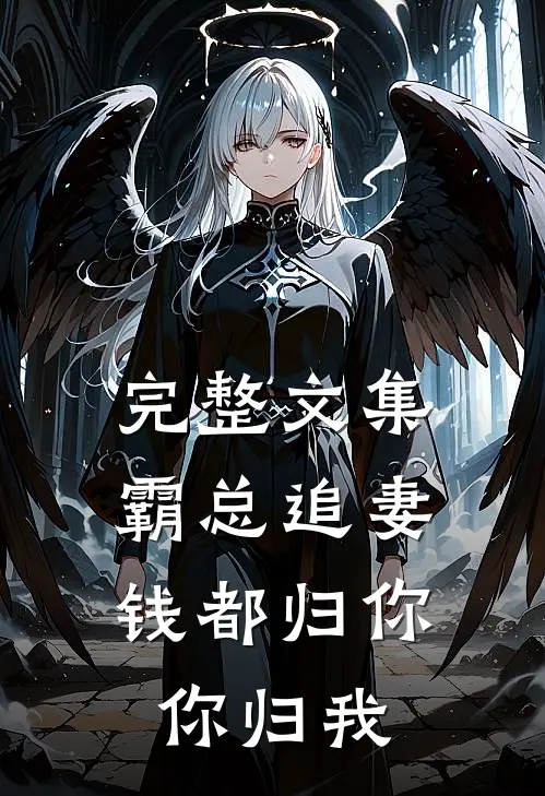 完整文集霸总追妻：钱都归你，你归我