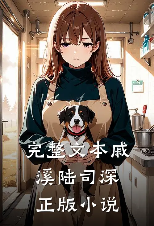 完整文本戚溪陆司深正版小说