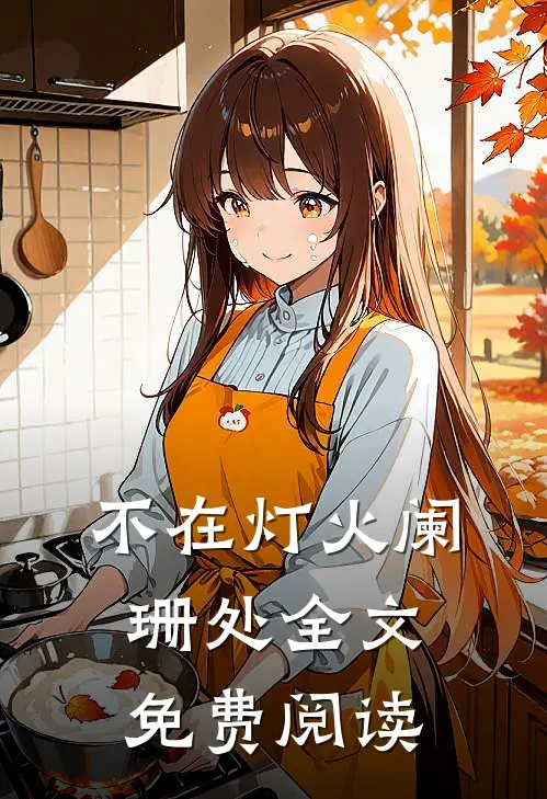 不在灯火阑珊处全文免费阅读