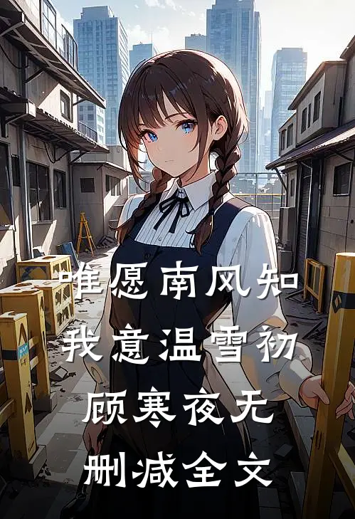 唯愿南风知我意温雪初顾寒夜无删减全文