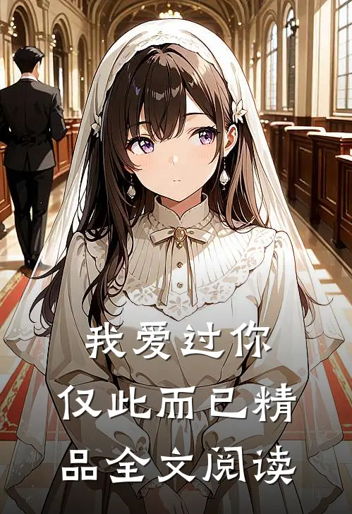 我爱过你，仅此而已精品全文阅读