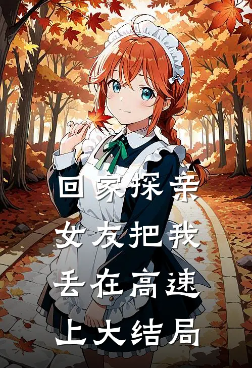 回家探亲，女友把我丢在高速上大结局
