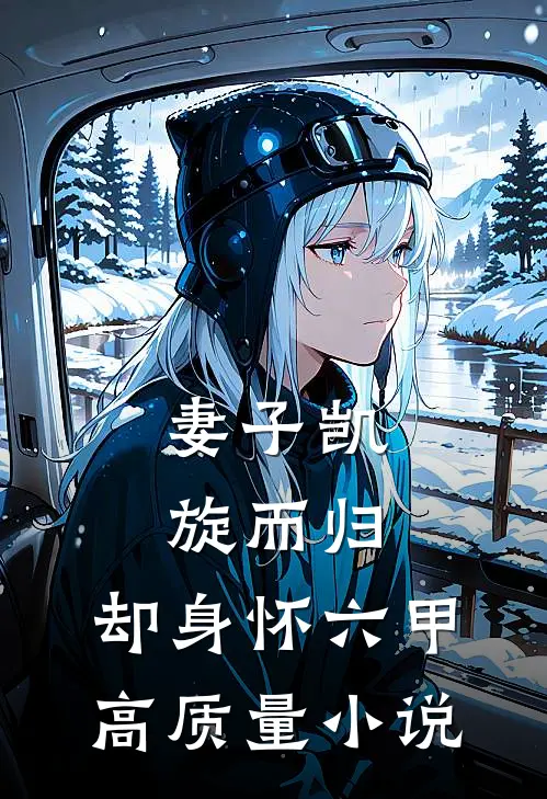 妻子凯旋而归，却身怀六甲高质量小说