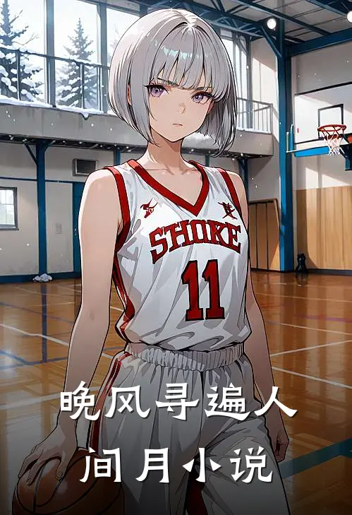 晚风寻遍人间月小说