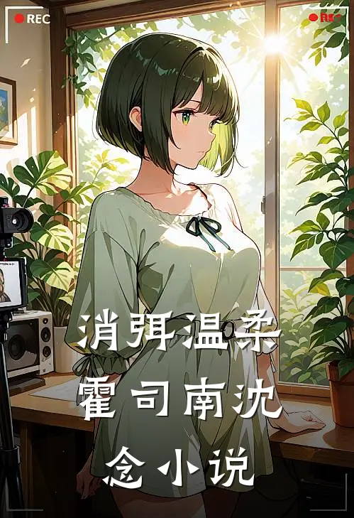消弭温柔霍司南沈念小说