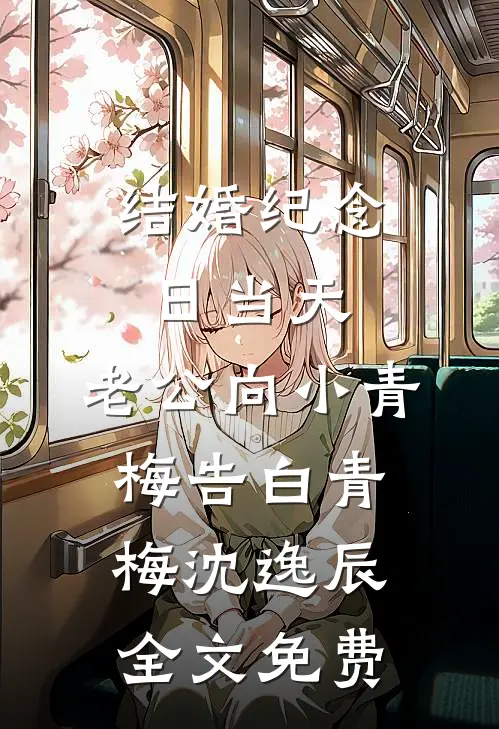 结婚纪念日当天，老公向小青梅告白青梅沈逸辰全文免费