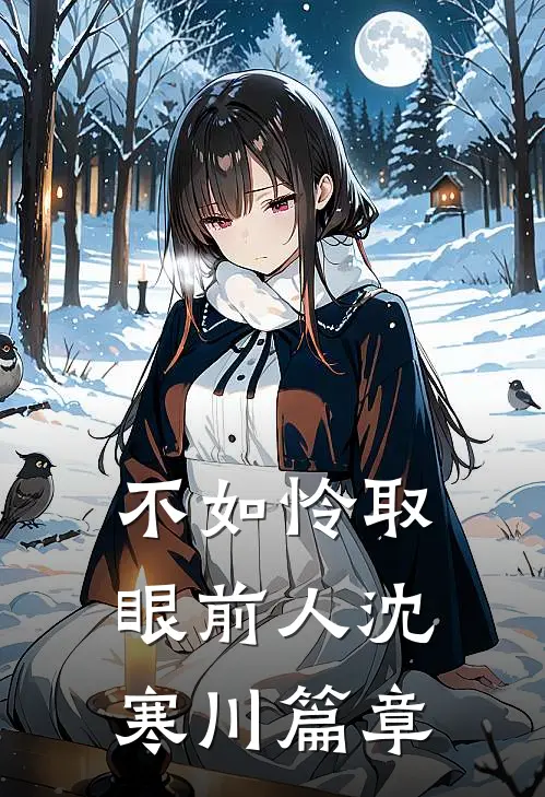 不如怜取眼前人沈寒川篇章