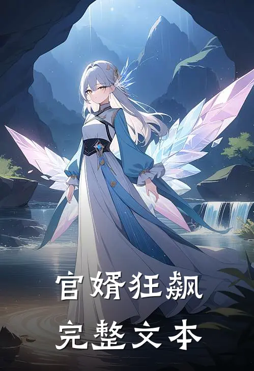 官婿狂飙完整文本