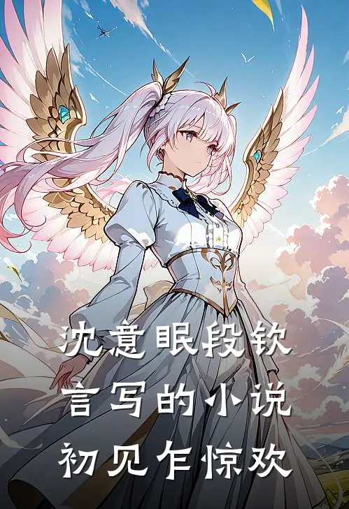 沈意眠段钦言写的小说初见乍惊欢