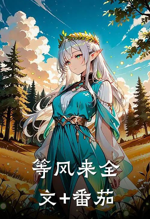 等风来全文+番茄