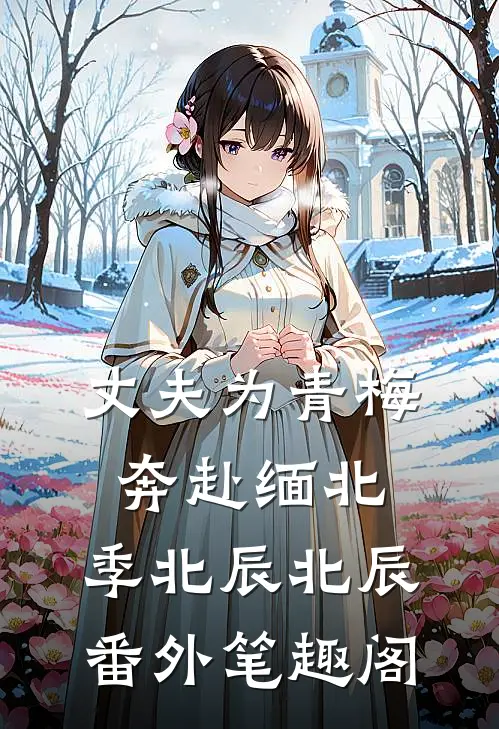 丈夫为青梅奔赴缅北：季北辰北辰番外笔趣阁
