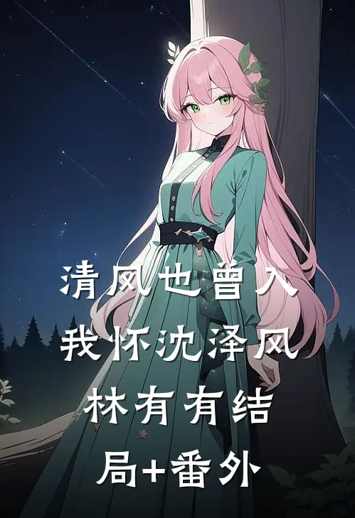清风也曾入我怀沈泽风林有有结局+番外