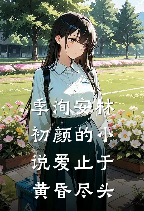 季洵安林初颜的小说爱止于黄昏尽头