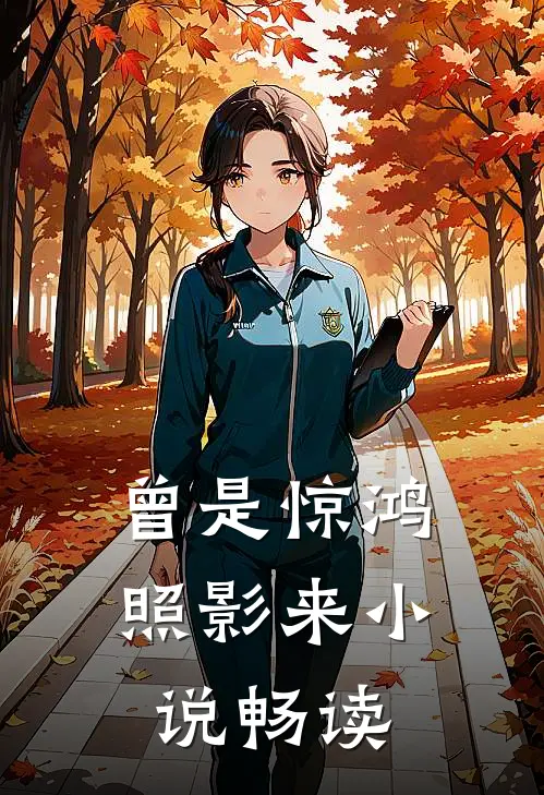 曾是惊鸿照影来小说畅读