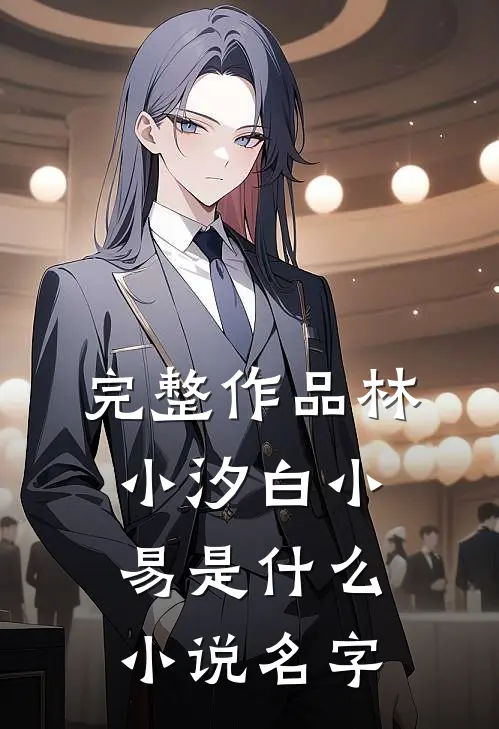 完整作品林小汐白小易是什么小说名字