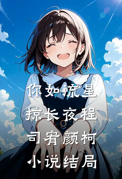 你如流星掠长夜程司宥颜柯小说结局