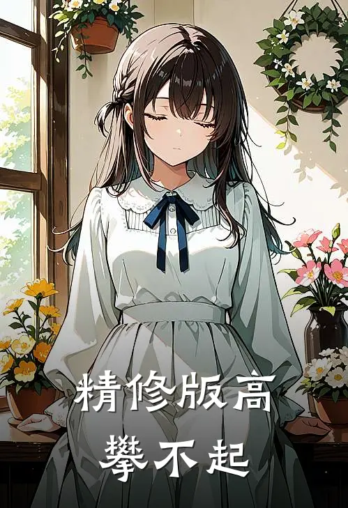 精修版高攀不起