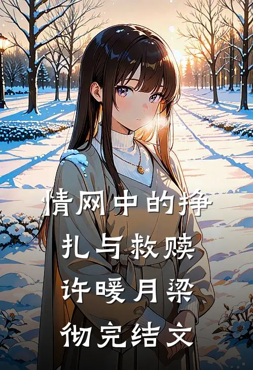 情网中的挣扎与救赎许暖月梁彻完结文