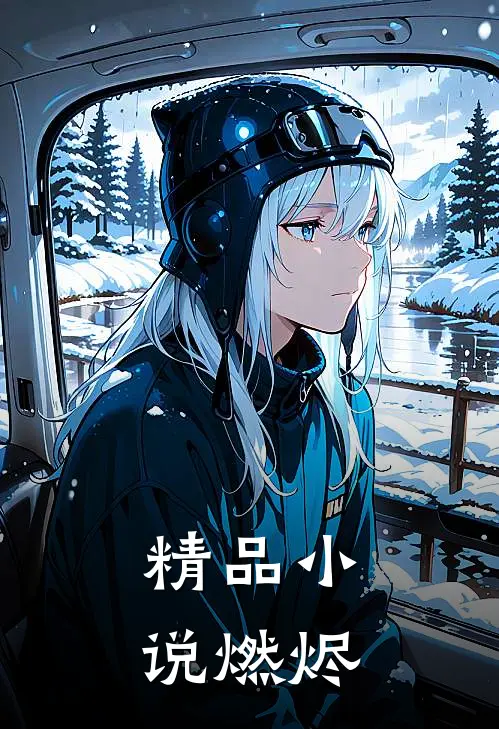 精品小说燃烬