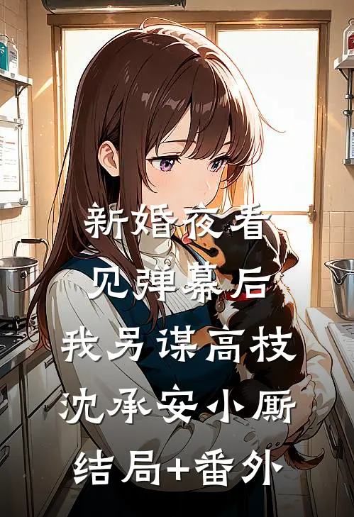 新婚夜看见弹幕后，我另谋高枝沈承安小厮结局+番外