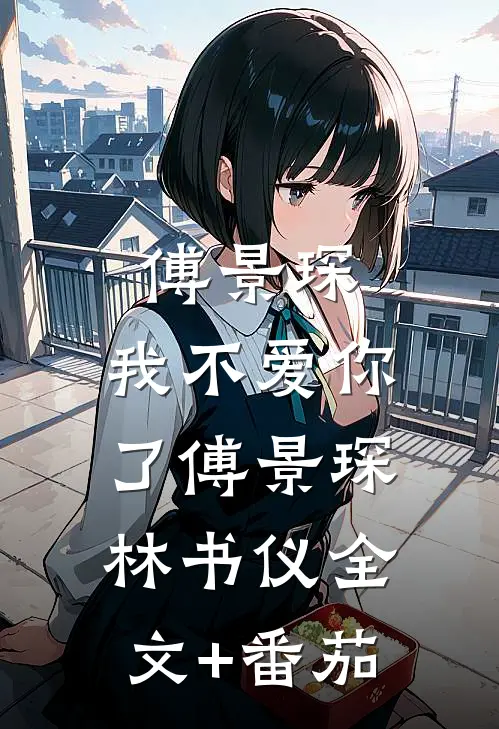 傅景琛，我不爱你了傅景琛林书仪全文+番茄
