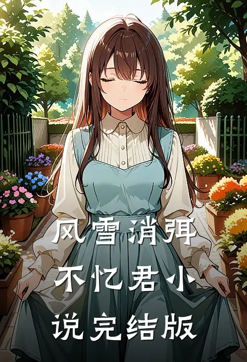 风雪消弭不忆君小说完结版